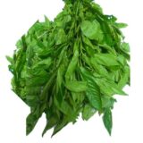 Ewedu