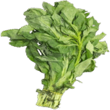 Soko